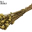 Dried Poppy | Colour: Olive Green | Papaver Somniferum Dried Flowers | Length ± 60 centimetres | Weight 200 grams | Per bunch