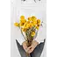 Gele Helichrysum - Strobloem droogbloemen| Lengte ± 55 centimeter | Gewicht ± 75 gram