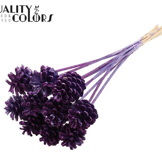 QC Pine cone on stick | Colour: Metallic Purple with Glitter | Pine cone diameter 5 - 7 centimetres | Length ± 60 centimetres | Per 10 picks