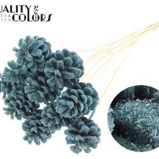 QC Pine cone on stick | Colour: Light Blue | Sawdust Light Blue Insert Stick | Pine cone diameter 5 - 7 centimetres | Length ± 50 centimetres | Per 10 insert sticks