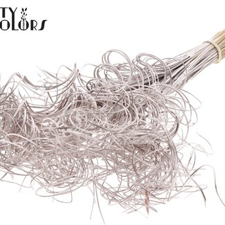 QC Feuille de palmier séchée Nerf | Curly Ting Ting | Couleur : Champagne | Décoration sèche | Longueur ± 70 centimètres | 3 nervures par branche | Par 33 branches