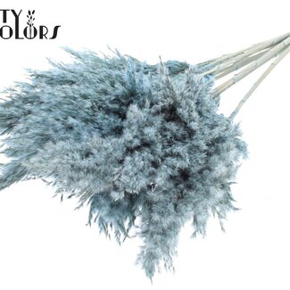 QC Plumes de Pampas Séchées | Couleur : Bleu Clair Givré | Fleurs Séchées Pampas | Longueur ± 70 centimètres | 10 plumes par bouquet | Par bouquet