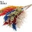 Dried Pampas Plumes | Colourful 6 | Colour: Mixed Colours | Pampas Dried Flowers | Length ± 70 centimetres | 10 plumes per bunch | Per bunch