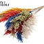 Dried Pampas Plumes | Colourful 6 | Colour: Mixed Colours | Pampas Dried Flowers | Length ± 70 centimetres | 10 plumes per bunch | Per bunch