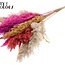Dried Pampas Plumes | Colourful 10 | Colour: Mixed Colours | Pampas Dried Flowers | Length ± 70 centimetres | 10 plumes per bunch | Per bunch