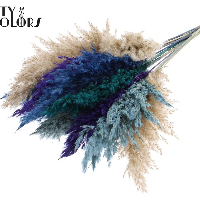 Getrocknete Pampasgräser | Skandinavische Farben | Farbe: Gemischte Farben | Pampas Trockenblumen | Länge ± 70 Zentimeter | 10 Gräser pro Bund | Pro Bund