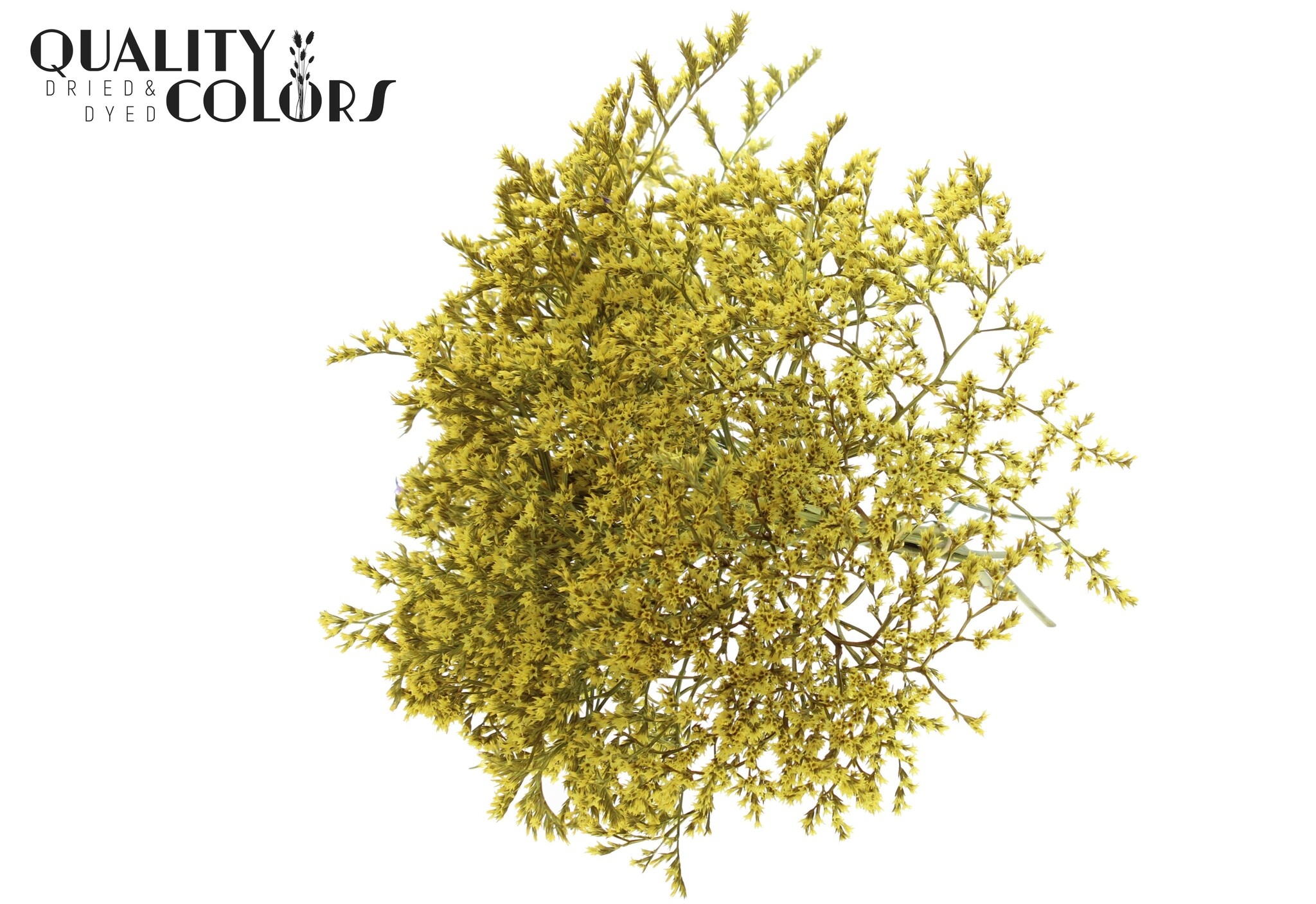 Faisceaux De Lavande Naturels, Lavande SéChéEs Naturelles Fleurs Décoratives Bouquet Pour La DéCoration De Maison La Décoration Intérieure Artisanat Mariage Ou Toute Occasion,100g