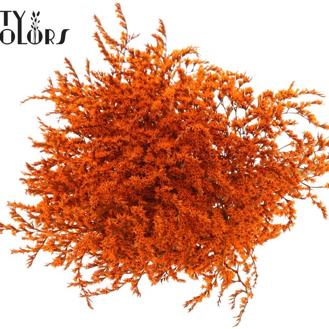 Dried Sea Lavender | Colour: Orange | Limonium Tataricum Dried Flowers | Length ± 30 cm | Weight 45 grams | Per bunch