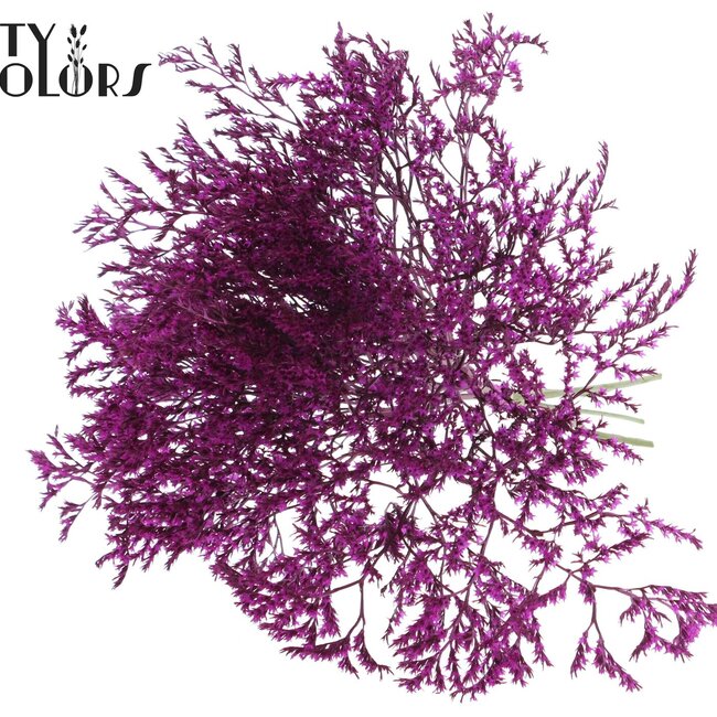 Getrockneter Meerlavendel | Farbe: Fliederfarben | Limonium Tataricum Trockenblumen | Länge ± 30 cm | Gewicht 45 Gramm | Pro Bund