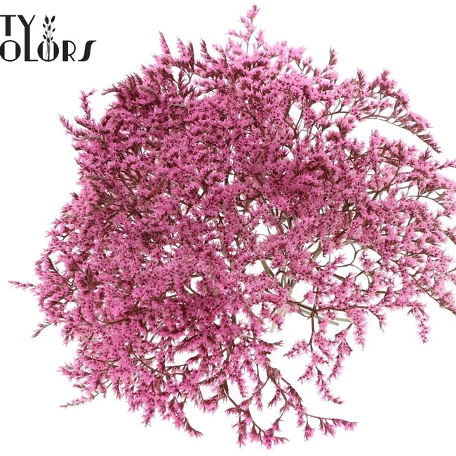 Gedroogde Zeelavendel | Kleur: Roze | Limonium Tataricum Droogbloemen | Lengte ± 30 cm | Gewicht 45 gram | Per bos