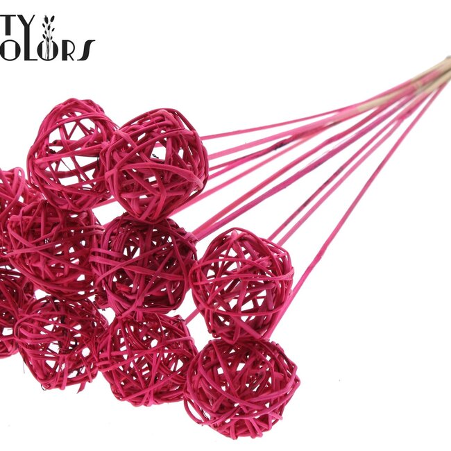 Boule en rotin sur bâton | Couleur : Cerise | Bruce Ball Pique-fleurs | Diamètre 5 centimètres | Longueur ± 50 centimètres | Par 10 piques-fleurs