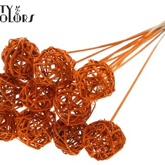 QC Rattan Ball auf Stab | Farbe: Orange | Bruce Ball Stecker | Durchmesser 5 Zentimeter | Länge ± 50 Zentimeter | Pro 10 Stecker
