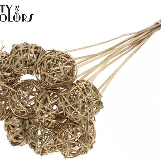 QC Rattan Kugel auf Stab | Farbe: Antik Goldfarben | Bruce Ball Stecker | Durchmesser 5 Zentimeter | Länge ± 50 Zentimeter | Pro 10 Stecker