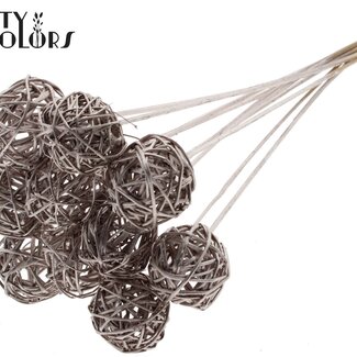 QC Rotan Bal op stok | Kleur: Champagnekleurig | Bruce Ball Bijsteker | Diameter 5 centimeter | Lengte ± 50 centimeter | Per 10 bijstekers