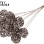 Boule en rotin sur tige | Couleur : Champagne | Bruce Ball Pique-fleurs | Diamètre 5 centimètres | Longueur ± 50 centimètres | Par 10 piques-fleurs