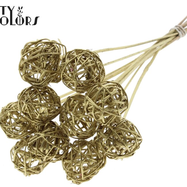 Rattan Ball on Stick | Colour: Gold | Bruce Ball Pick | Diameter 5 centimetres | Length ± 50 centimetres | Per 10 picks