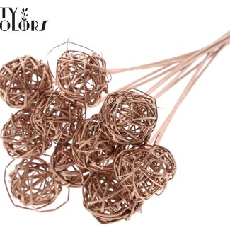 QC Rattan Ball on Stick | Colour: Copper | Bruce Ball Plant Stake | Diameter 5 centimetres | Length ± 50 centimetres | Per 10 stakes