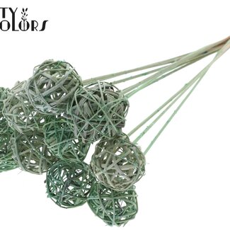 QC Boule en rotin sur tige | Couleur : Vert menthe givré | Bruce Ball Pique-fleurs | Diamètre 5 centimètres | Longueur ± 50 centimètres | Par 10 piques-fleurs
