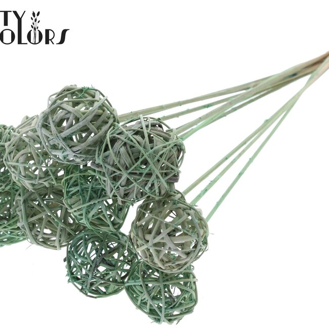 Rattan Ball on Stick | Colour: Frosted Mint Green | Bruce Ball Stake | Diameter 5 centimetres | Length ± 50 centimetres | Per 10 stakes