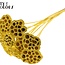 Getrocknete Lotus-Schoten auf Stiel | Farbe: Gelb | Durchmesser Lotus 5 - 7 Zentimeter | Länge der Steckhilfe ± 50 Zentimeter | Pro 10 Steckhilfen