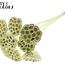 Getrocknete Lotusfruchtstände auf Stiel | Farbe: Cremefarben | Durchmesser Lotus 5 - 7 Zentimeter | Länge Stecker ± 50 Zentimeter | Pro 10 Stecker