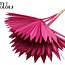 Gedroogd Palmblad in Waaiervorm | Kleur: Kerskleurig | Palm Sun Droogbloemen | Lengte ± 50 centimeter | Per 10 takken