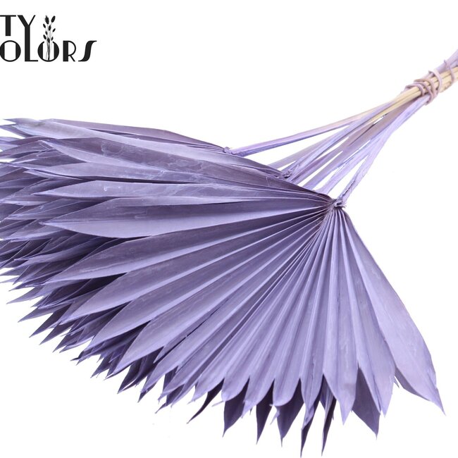 Feuille de palmier séchée en forme d'éventail | Couleur : Lait mauve givré | Palm Sun Fleurs séchées | Longueur ± 50 centimètres | Par 10 branches