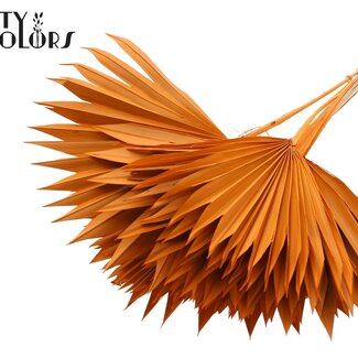 QC Getrocknetes Palmblatt in Fächerform | Farbe: Orange | Palm Sun Trockenblumen | Länge ± 50 Zentimeter | Pro 10 Stiele