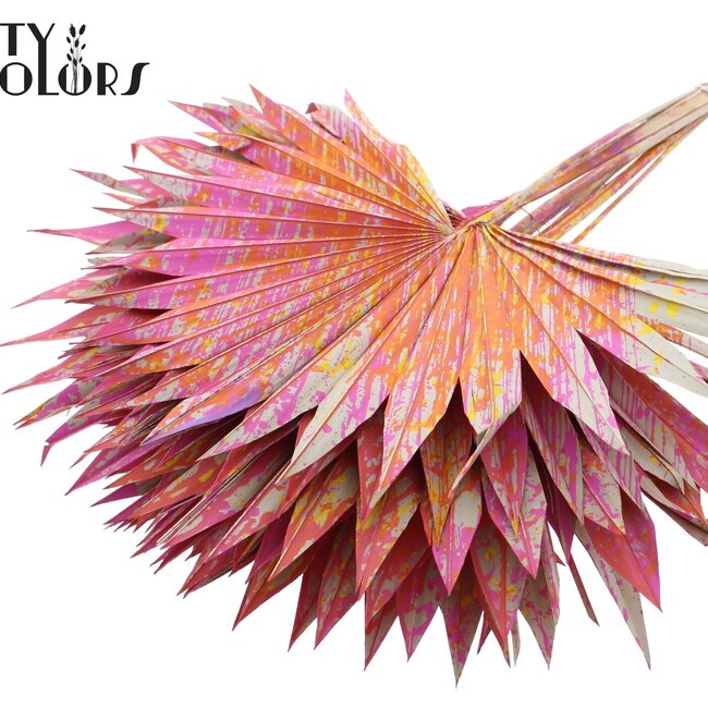 Feuille de Palmier Séchée en Forme d'Éventail | Couleur : Multicolore Cerise | Palm Sun Fleurs Séchées | Longueur ± 50 centimètres | Par 10 branches