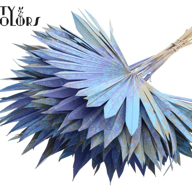 Feuille de palmier séchée en forme d'éventail | Couleur : Multicolore Bleu Clair | Fleurs séchées Palm Sun | Longueur ± 50 centimètres | Par 10 branches