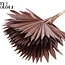 Getrocknetes Palmblatt in Fächerform | Farbe: Braun | Palm Sun Trockenblumen | Länge ± 50 Zentimeter | Pro 10 Stiele