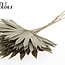 Feuille de palmier séchée en forme d'éventail | Couleur : Brun Naturel | Palm Sun Fleurs séchées | Longueur ± 50 centimètres | Par 10 branches