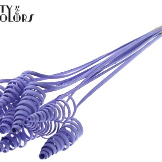 QC Spirale de palmier sur tige | Couleur : Lilas | Tuteur en canne | Longueur du tuteur ± 50 centimètres | Par 10 tuteurs