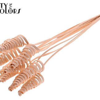 QC Spirale de palmier sur tige | Couleur : Abricot | Pique décorative Cane Cone | Longueur de la pique ± 50 centimètres | Par 10 piques