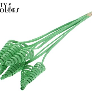 QC Palm Spiraal op steel | Kleur: Mintgroen | Cane Cone Bijsteker | Lengte bijsteker ± 50 centimeter | Per 10 bijstekers