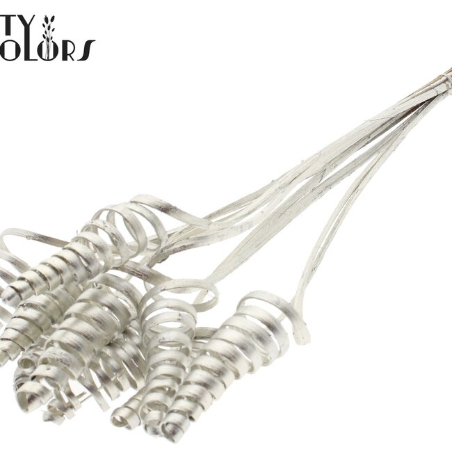 Palm Spiraal op steel | Kleur: Platinakleurig | Cane Cone Bijsteker | Lengte bijsteker ± 50 centimeter | Per 10 bijstekers