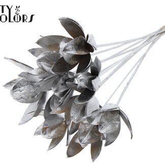 QC Wild Lily seed pod on stick | Colour: Silver-coloured | Length of stick-in decoration ± 50 centimetres | Per 10 stick-in decorations