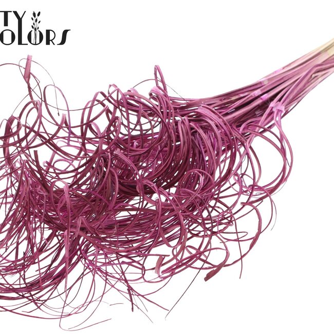 Gedroogd Palmblad Nerf | Curly Ting Ting | Kleur: Lilakleurig | Droogdecoratie | Lengte ± 70 centimeter | 3 nerfen per tak | Per 33 takken