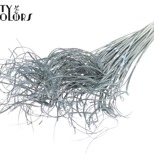 Dried Palm Leaf Vein | Curly Ting Ting | Colour: Light Blue | Dried Decoration | Length ± 70 centimetres | 3 veins per branch | Per 33 branches