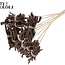 Decorative Coco Rose Posy on Stick | Colour: Natural Brown | Coco Rose Posy Stick | Length ± 50 centimetres | Per 10 sticks