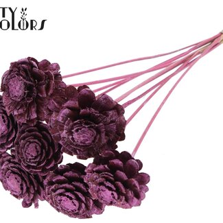 QC Sliced Pine Cone on Stick | Colour: Metallic Pink | Pine Cone Diameter 5 - 7 centimetres | Length ± 50 centimetres | Per 10 picks