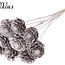 Pomme de pin coupée sur tige | Couleur : Champagne | Diamètre de la pomme de pin 5 - 7 centimètres | Longueur ± 50 centimètres | Par 10 piques
