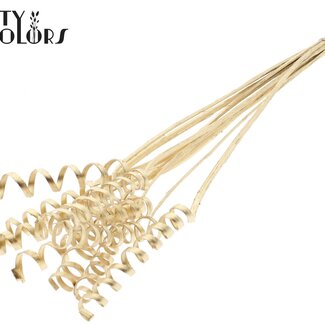 QC Palm Spiraal op steel | Kleur: Platina Antiek Goudkleurig | Cane Spring Bijsteker | Lengte bijsteker ± 50 centimeter | Per 10 bijstekers