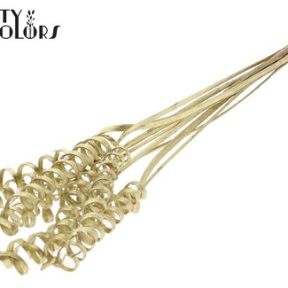 QC Palm Spirale sur tige | Couleur : Doré | Cane Spring Piquet | Longueur du piquet ± 50 centimètres | Par 10 piquets