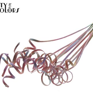QC Palm Spirale sur tige | Couleur : Dégradé Rose | Cane Spring Piquet | Longueur du piquet ± 50 centimètres | Par 10 piquets