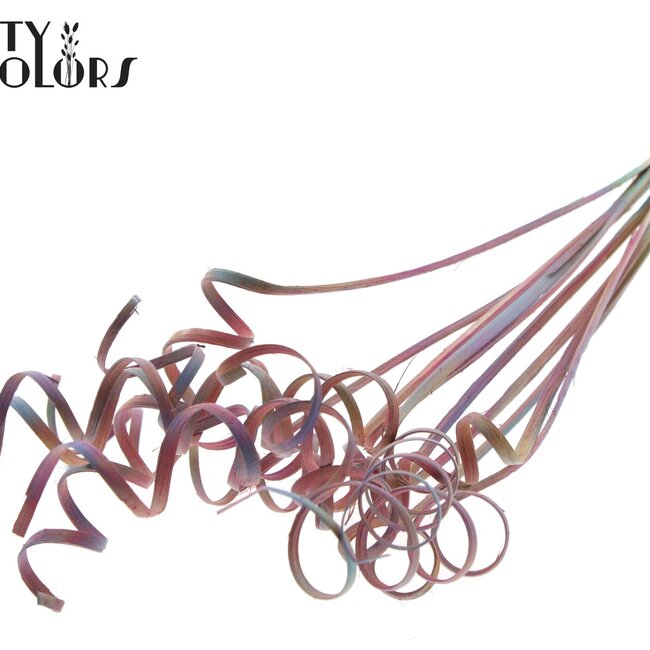 Palmspirale auf Stiel | Farbe: Verlauf Rosa | Cane Spring Stecker | Länge Stecker ± 50 Zentimeter | Pro 10 Stecker