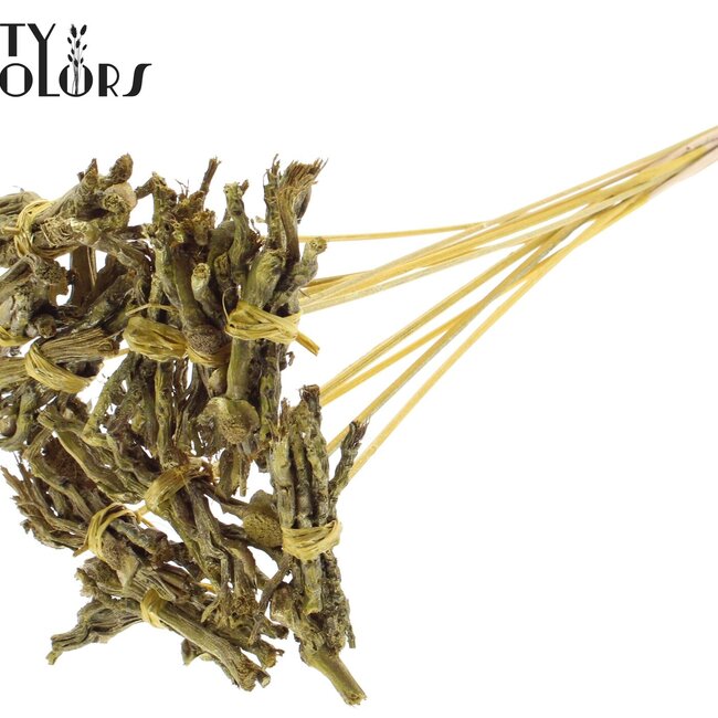 Decorative Coco Rose Posy on stick | Colour: Metallic Yellow | Coco Rose Posy Stick | Length ± 50 centimetres | Per 10 sticks