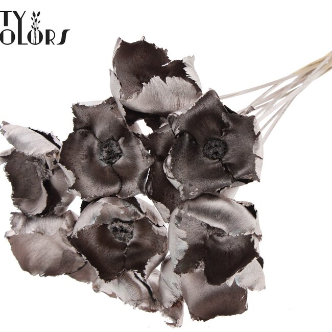 Gedroogde Palm Cup op steel | Kleur: Champagnekleurig | Lengte ± 50 centimeter | Per 10 stelen