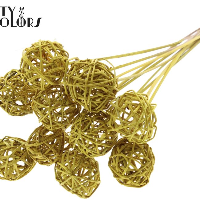 Rotan Bal op stok | Kleur: Geel | Bruce Ball Bijsteker | Diameter 5 centimeter | Lengte ± 50 centimeter | Per 10 bijstekers