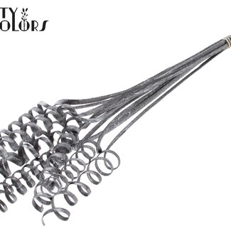 QC Palm Spiraal op steel | Kleur: Grijs Metallic Grafiet | Cane Spring Bijsteker | Lengte bijsteker ± 50 centimeter | Per 10 bijstekers